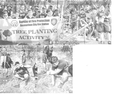 BFP DASMA JOINS TREE PLANTING ACTIVITY FOR A GREENER ENVIRONMENT