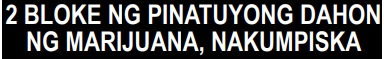 2 BLOKE NG PINATUYONG DAHONNG MARIJUANA, NAKUMPISKA