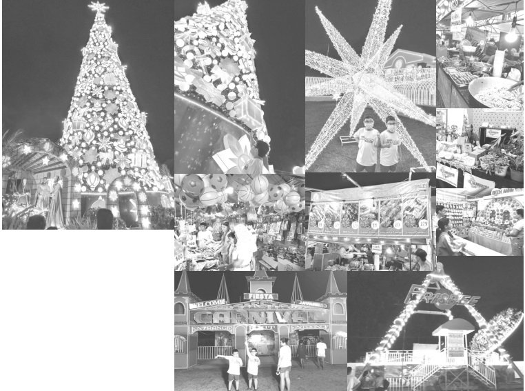 CALAMBA CITY. Pinailawan at binuksan na sapubliko ang GIANT CHRISTMAS TREE sa harap ngCity Hall